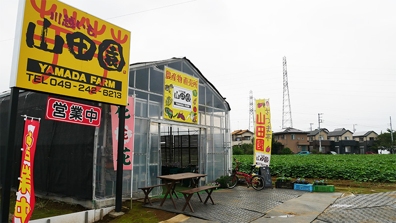 芋掘り観光農園 芋掘り観光 川越いも山田園 さつまいもの通販